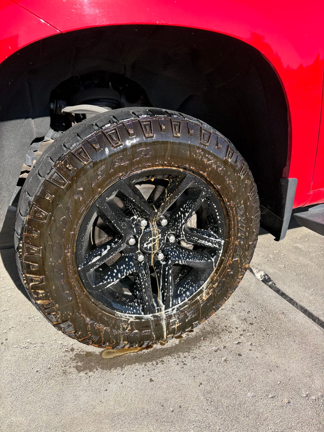 Customer photo review of Wise Guy Wheel & Tire Cleaner - 16 oz.