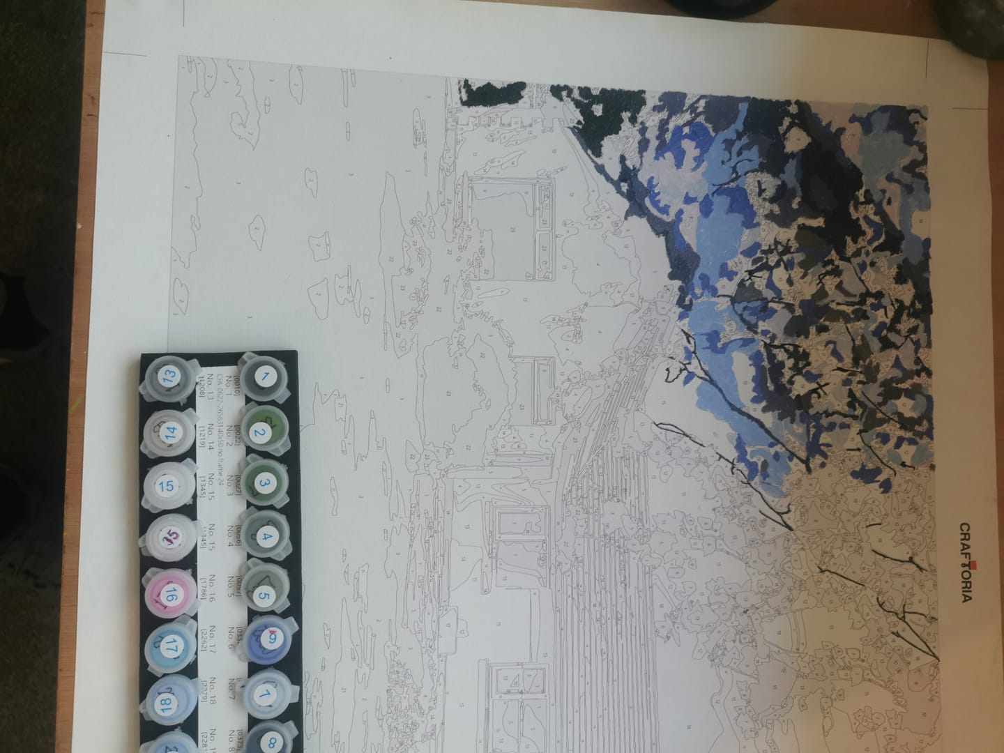 Customer photo review of Custom Paint By Numbers Kit