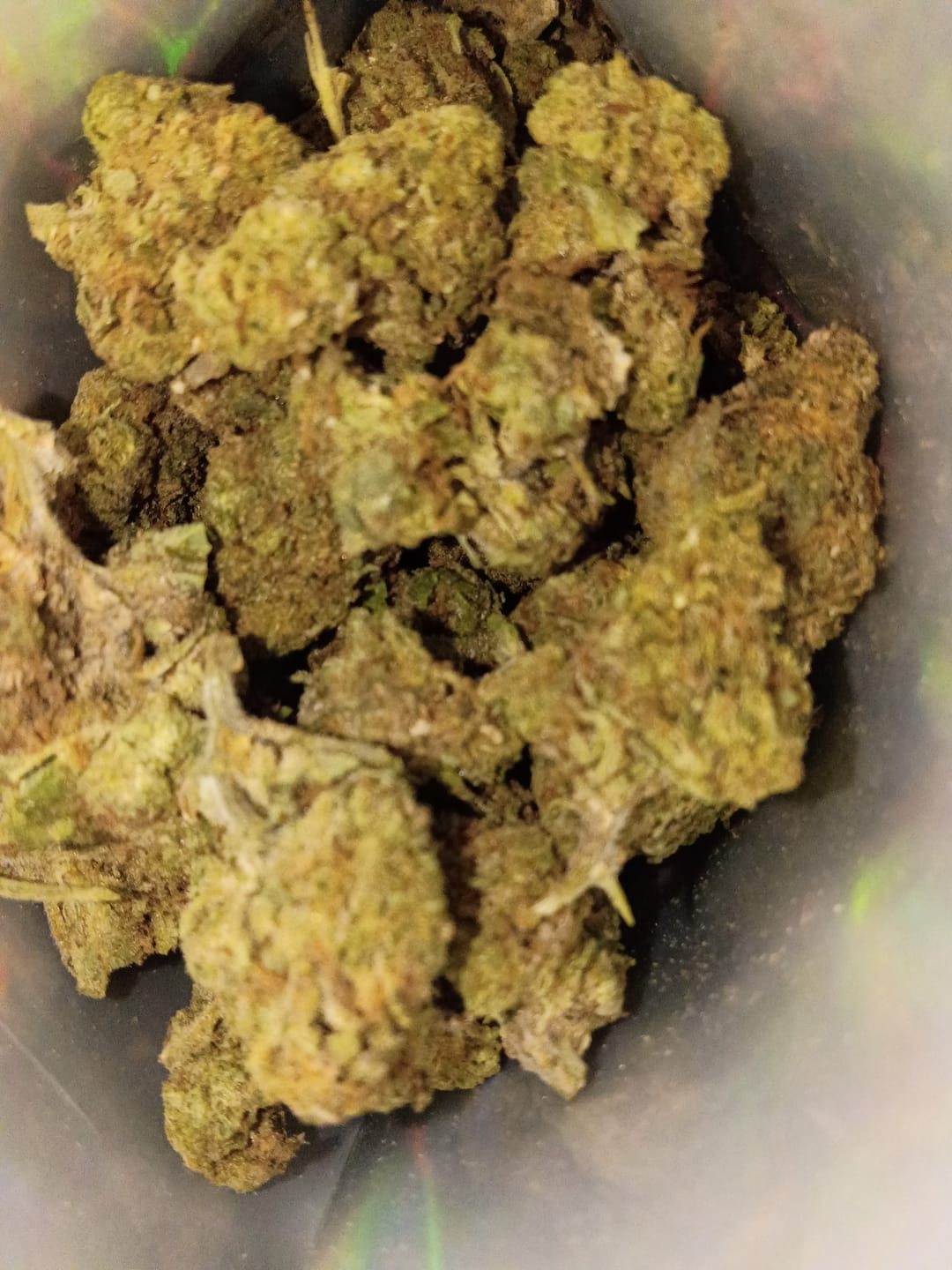 Customer photo review of Purple Kush - Bulk - Indica