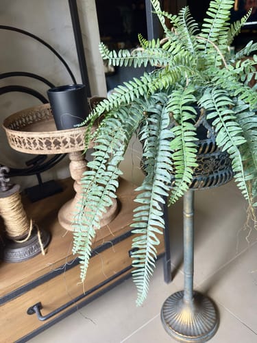 Customer's rustic Mirielle Pedestal Display Stand holding a black candle on a wooden surface next to a plant stand.