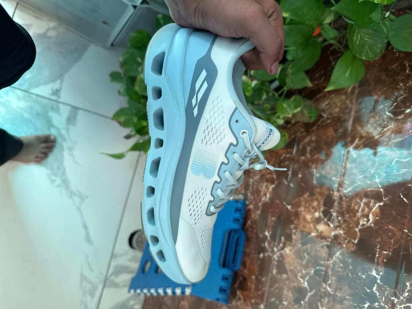 Customer photo review of BALANCE
