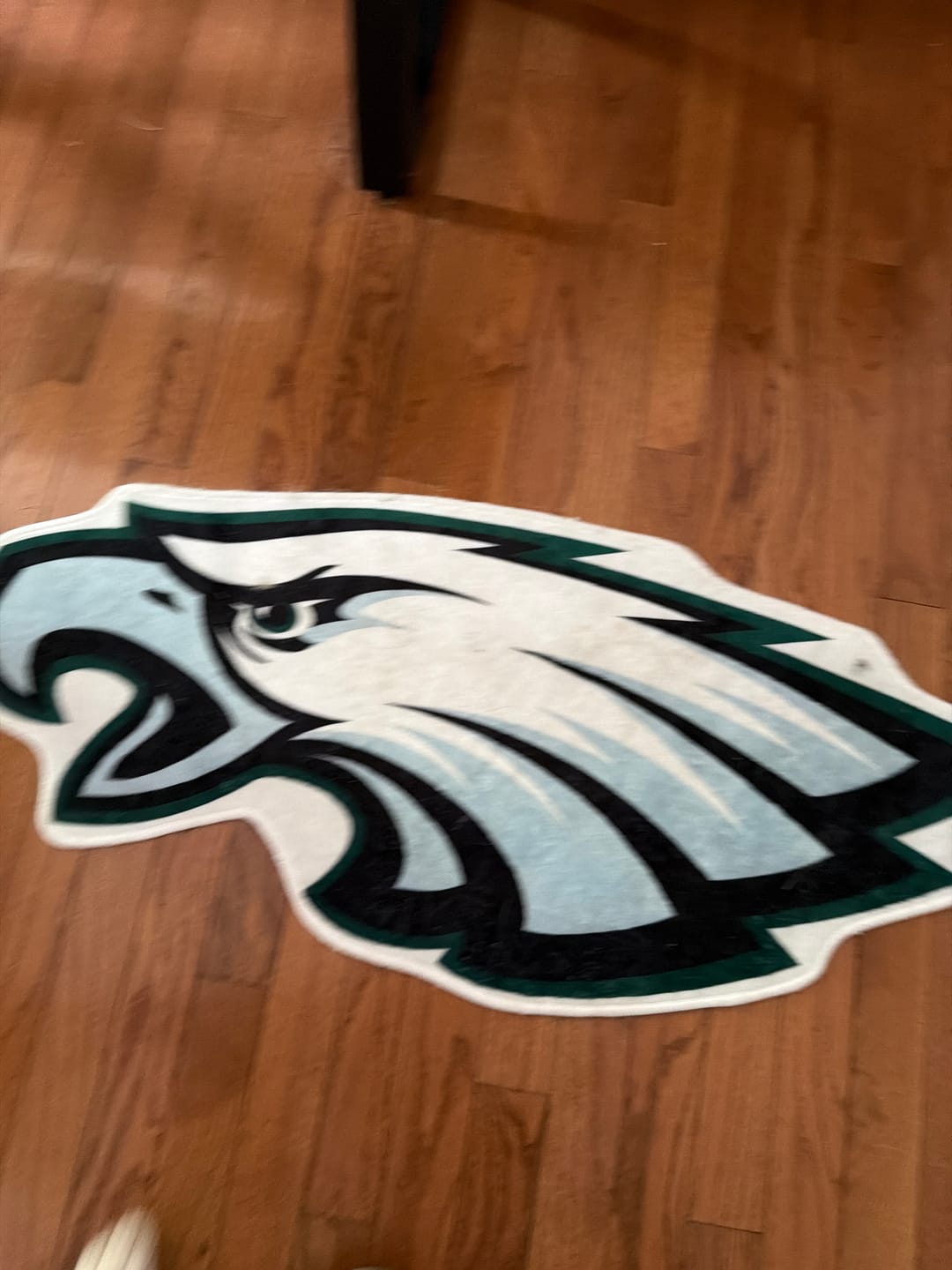 Customer photo review of Philadelphia Eagles Rug
