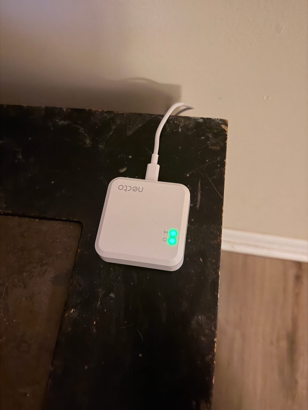 Customer photo review of Necto Temperature Monitor