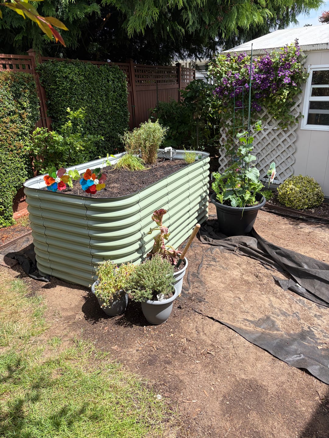 Customer photo review of 32" Tall Modular 9 in 1
