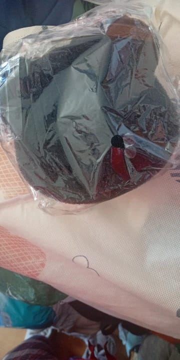 Customer photo review of FluffCatcher — Reusable Pet Hair Remover for Laundry