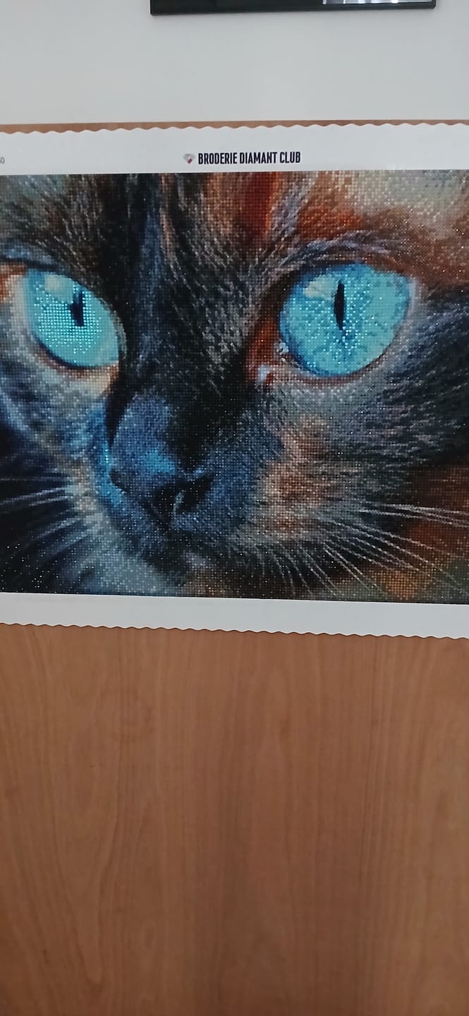 Customer photo review of Kit Personnalisé