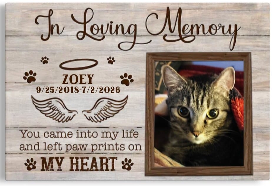 Customer photo review of Personalized Canvas Prints, Custom Photo, Pet Remembrance Gifts, Pet Gifts, Memorial Gifts, Loss Of Cat Sympathy Gifts Dem Canvas