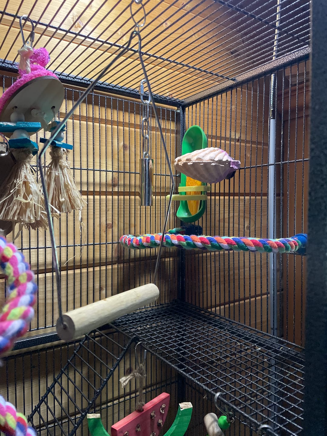 Customer photo review of 3289 Medium Wooden Perch Swing  ON SALE!
