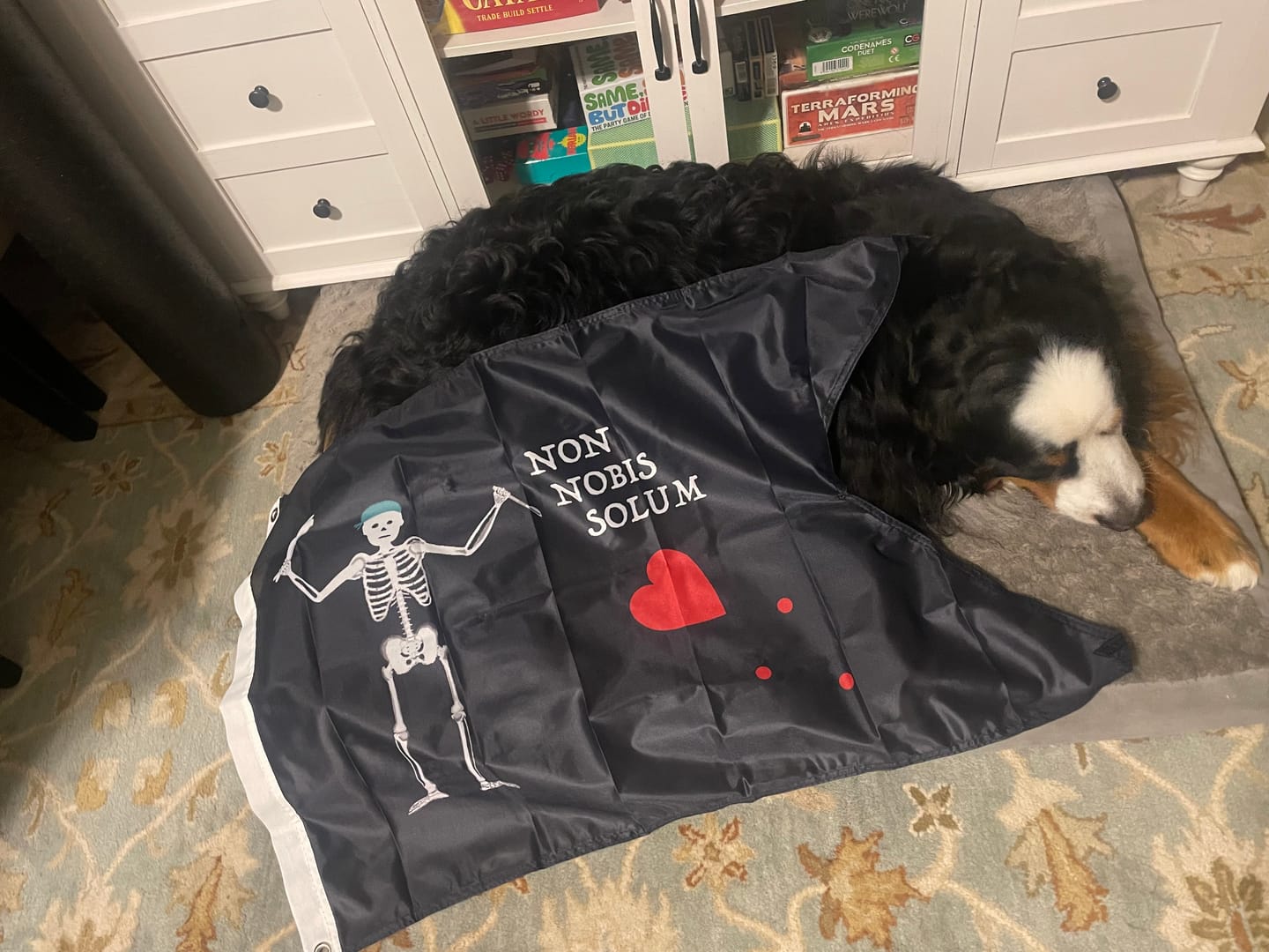 Customer photo review of Custom Guidon Flag