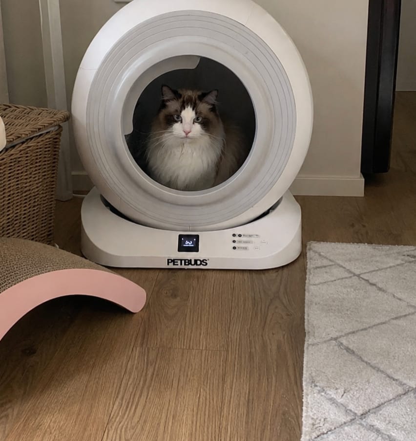 Customer photo review of The Petbuds Q-CLEAN Automatic Self-Cleaning Litter Box