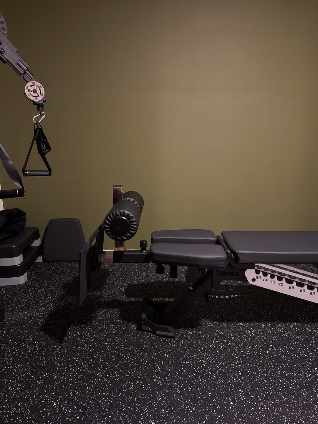 Customer photo review of APEX NORDIC MAX