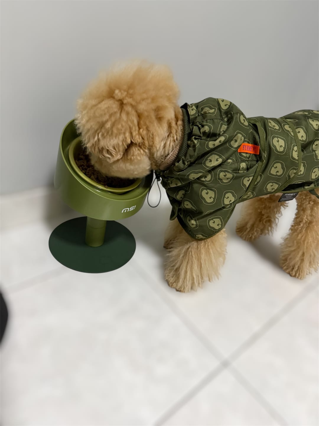 Customer photo review of Makesure Sunflower Adjustable Pet Food Bowl