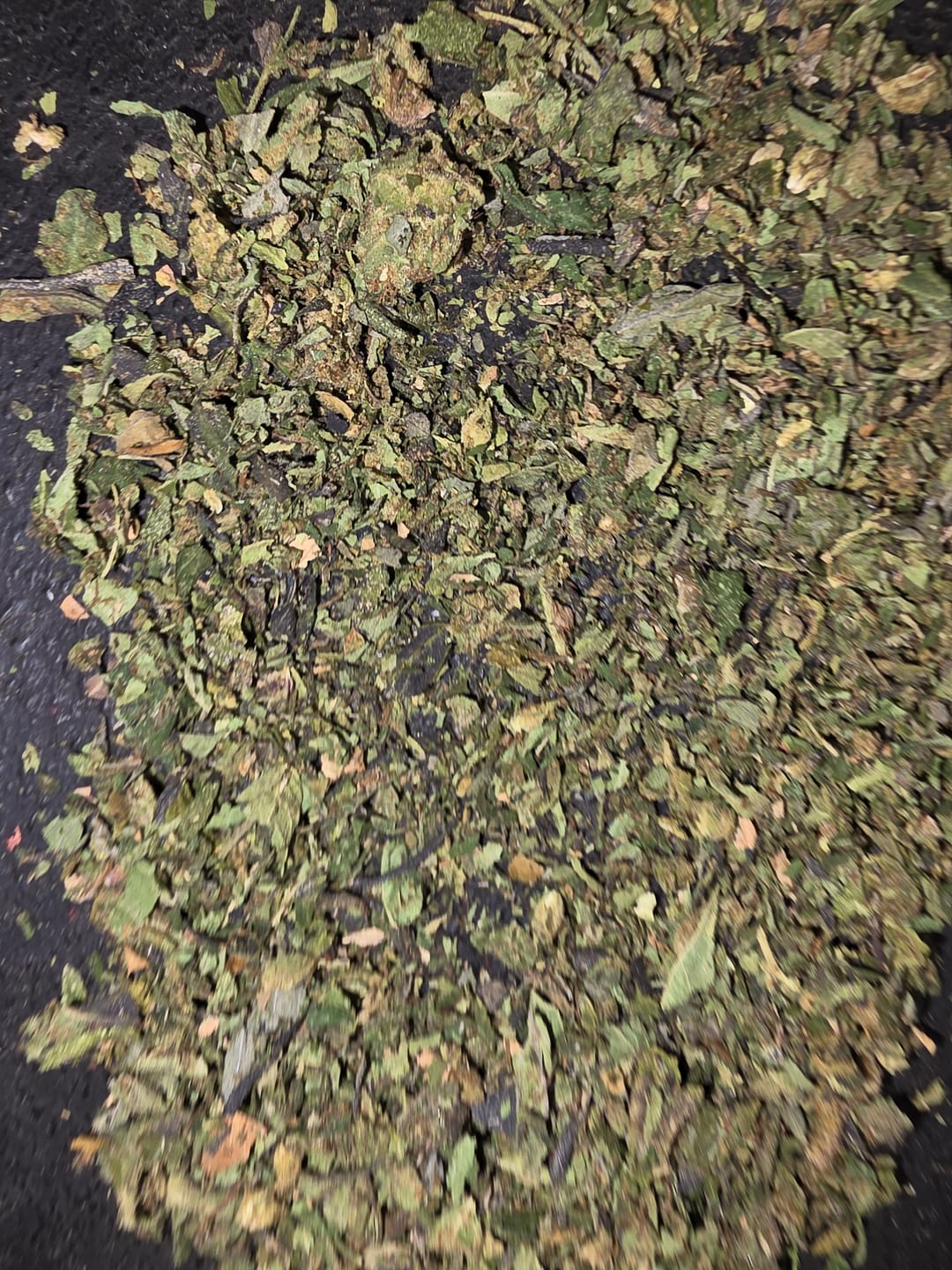 Customer photo review of Exotic Shake