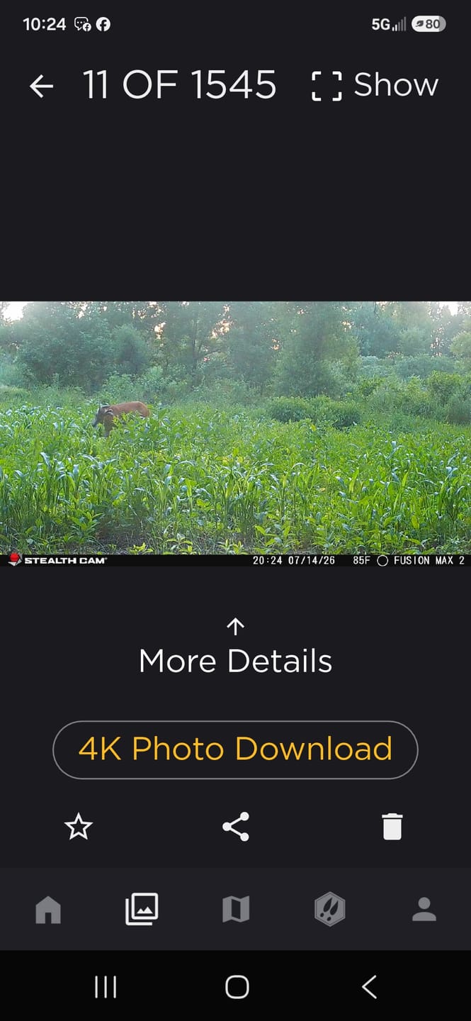 Customer photo review of No Till No Problem