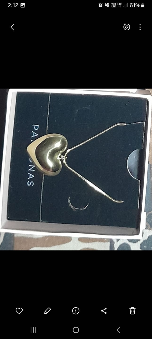 Customer photo review of Golden Heart Charm Chain Necklace