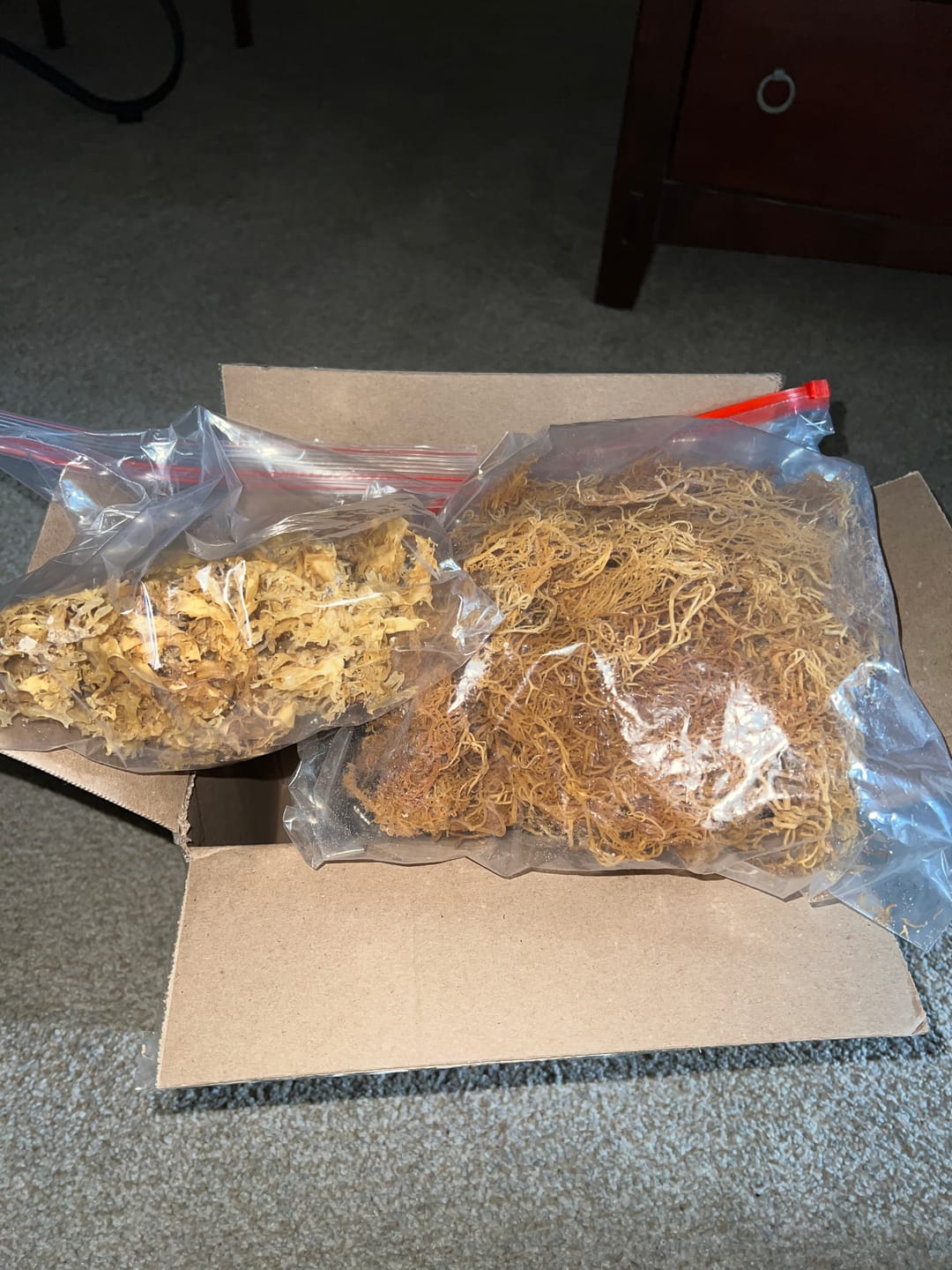 Customer photo review of Sea Moss from the pristine waters of St. Lucia- wildcrafted