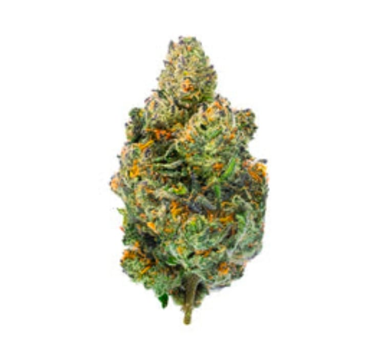 Customer photo review of Lemon Cherry Gelato - Indoor - 4 Grams - Hybrid