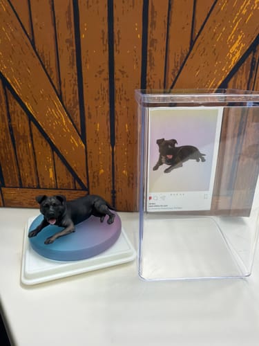Customer's clear Dust-Proof Acrylic Display Case shown with a custom dog figurine on its base.