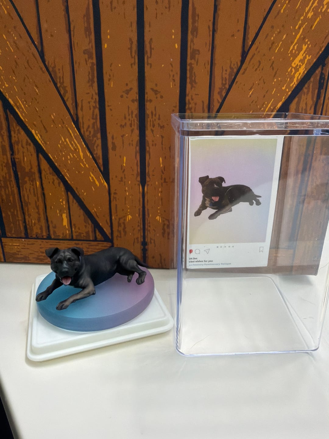 Customer photo review of Dust-Proof Acrylic Display Case