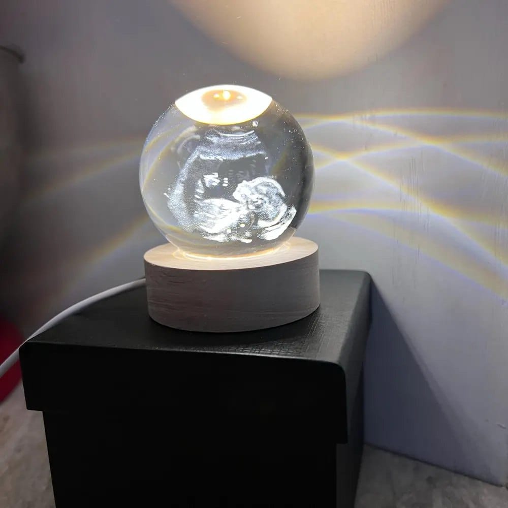 Customer photo review of Ashton Memory Globe