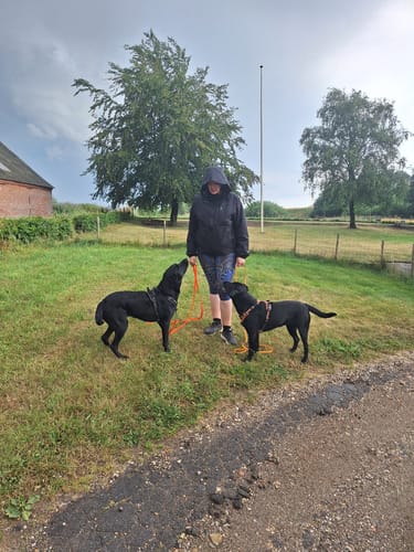 Anmelder iført den sorte FeelFree Ultralight regnjakke med hætten oppe, stående udenfor med to sorte hunde.