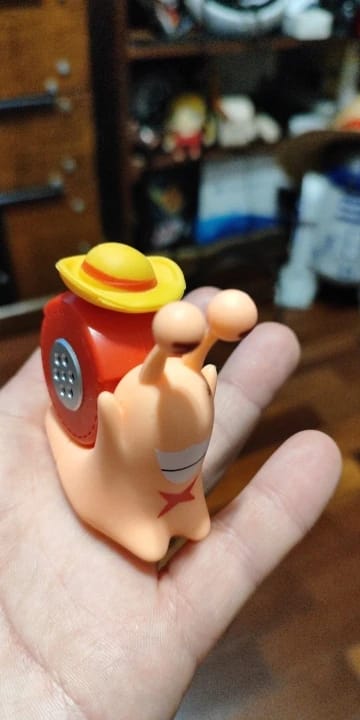 Customer photo review of Mushi Voice Grabadora