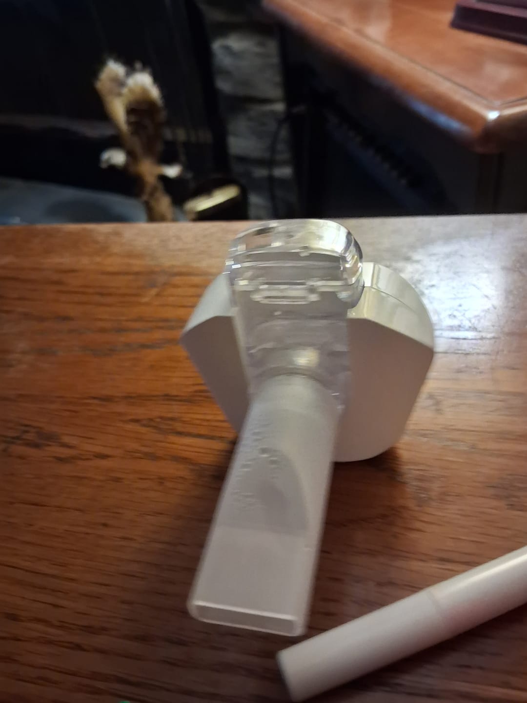 Customer photo review of Micro Mist Pro Portable Nebulizer