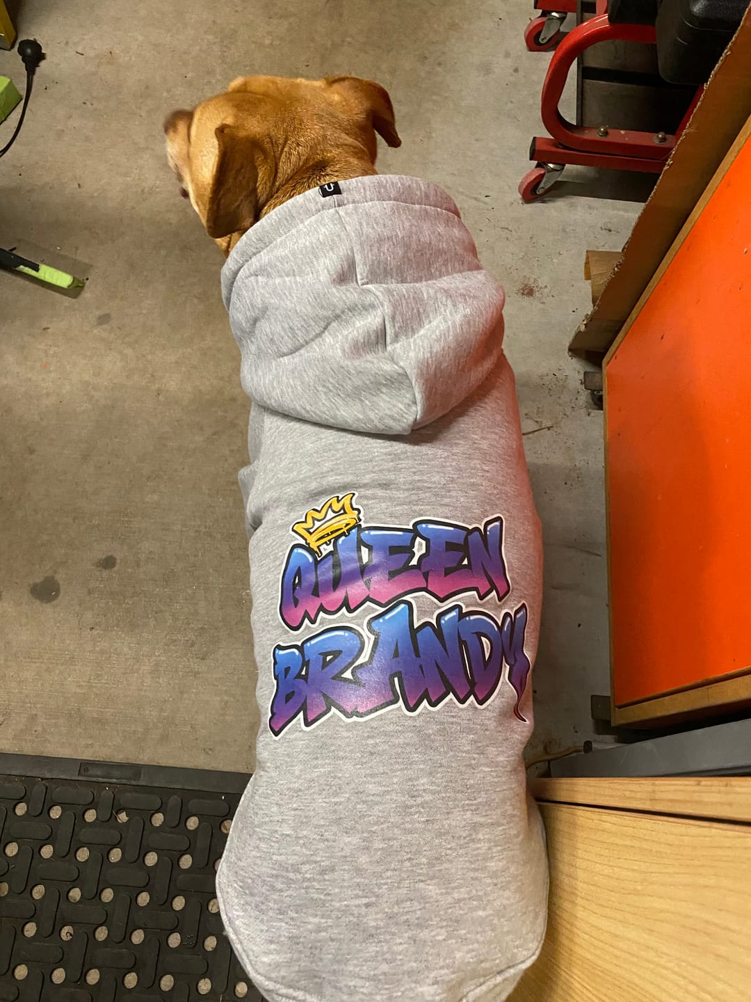 Customer photo review of In Da Hood Dog Hoodie