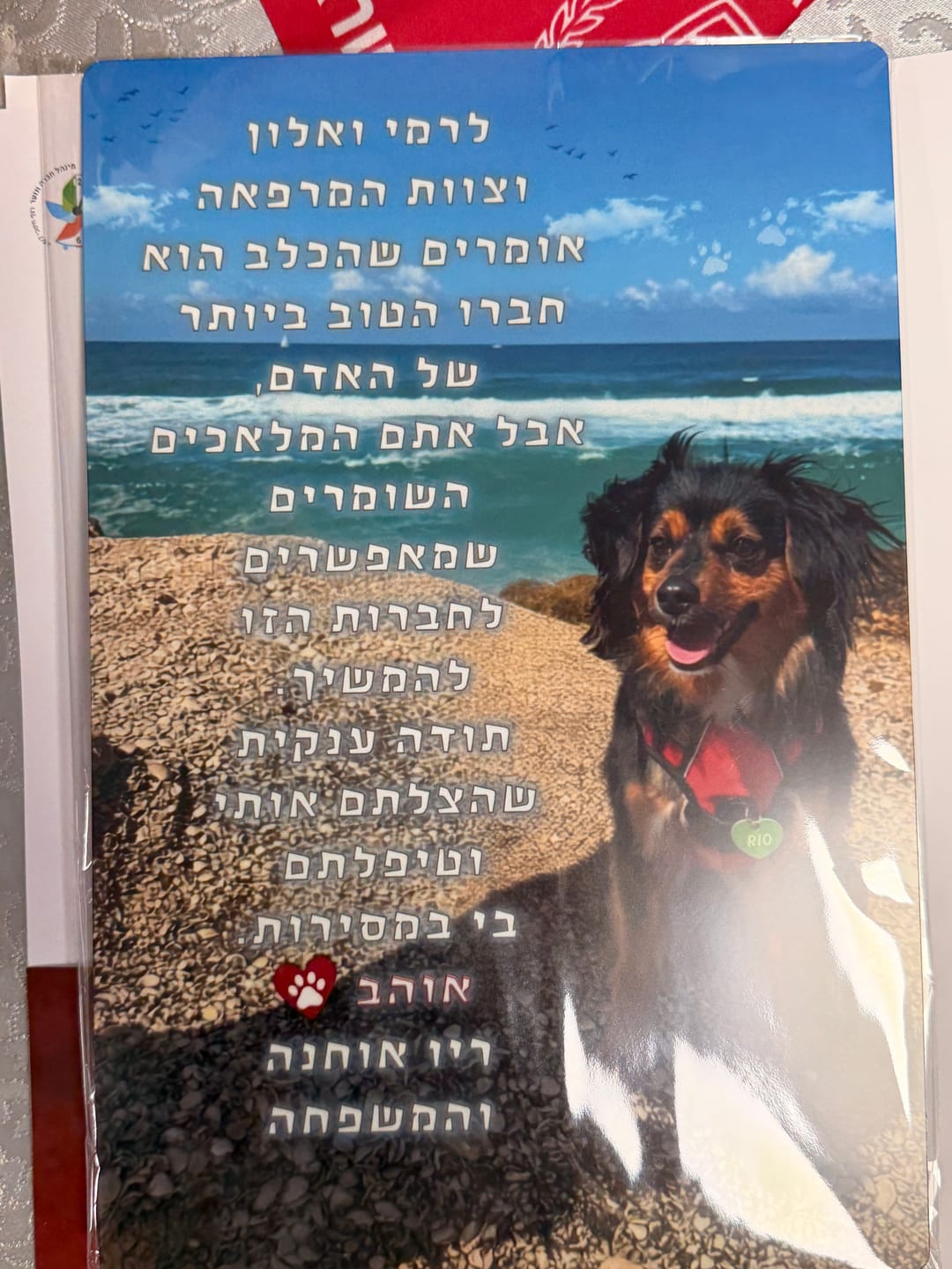 Customer photo review of יצירת פוסטר מתמגנט מתמונה