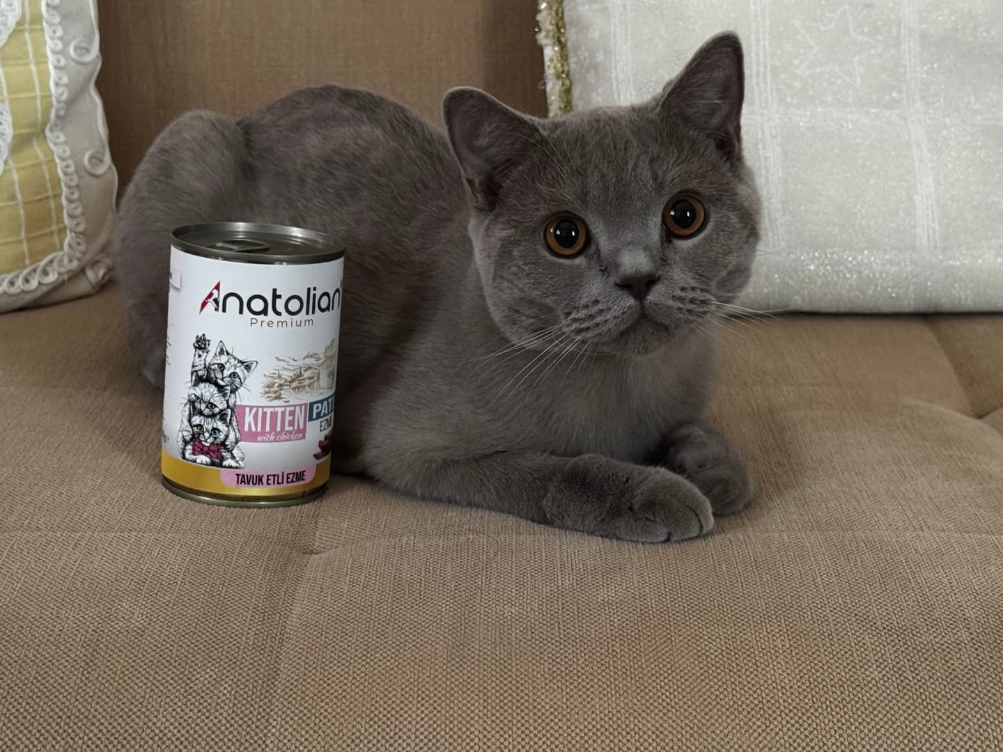 Customer photo review of Tavuklu Ezme Yavru Kedi Konservesi 400 gr x 24 adet