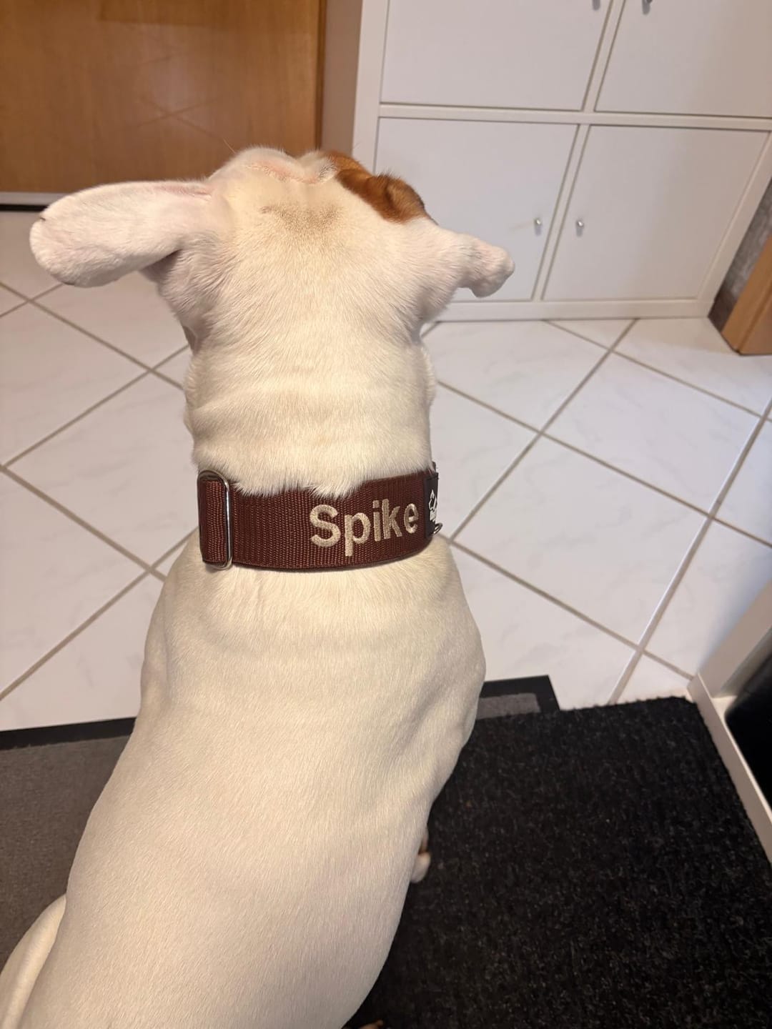 Customer photo review of Extreme Buckle med namn