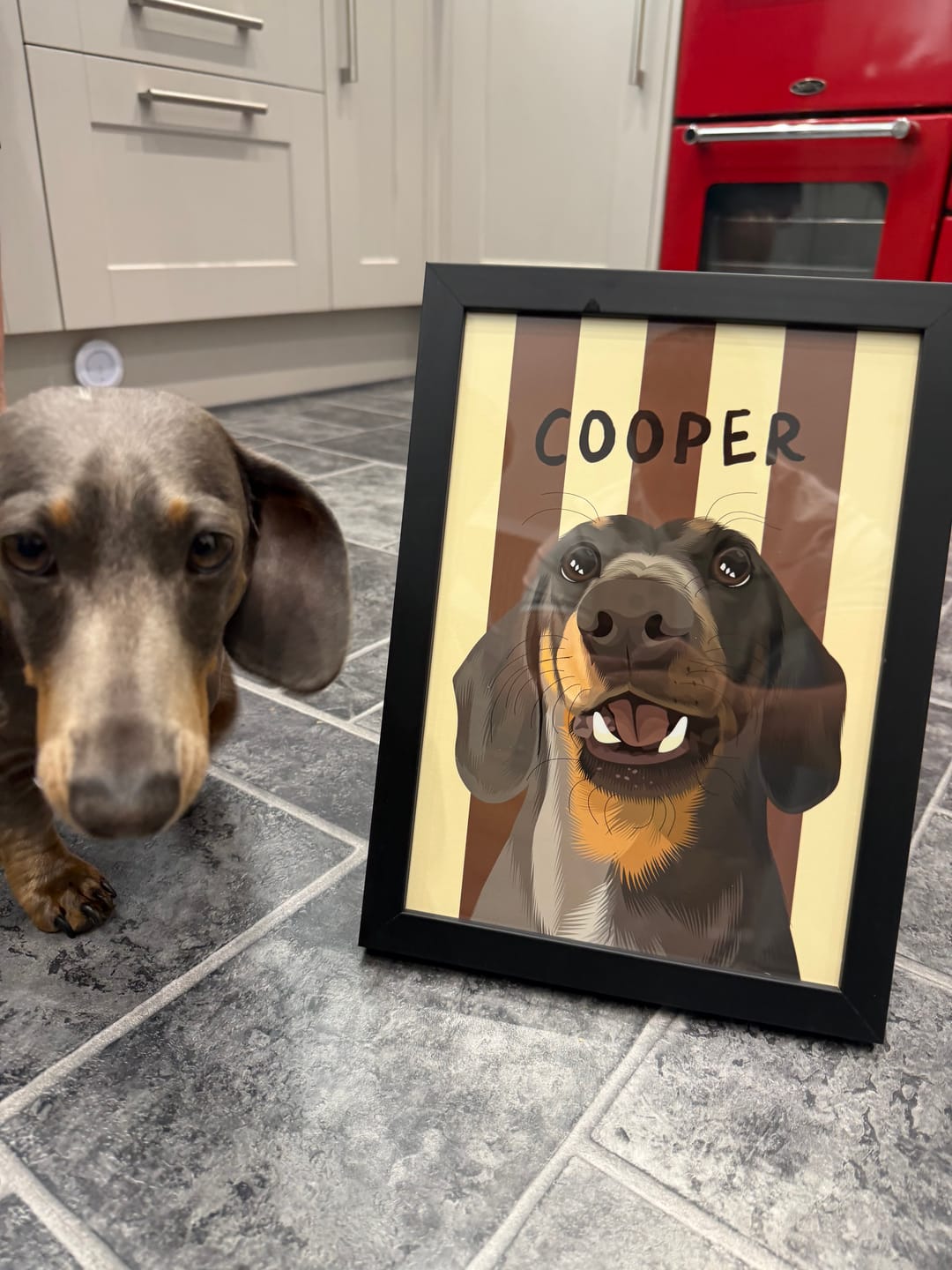 Customer photo review of Stripy | Custom Pet Portrait