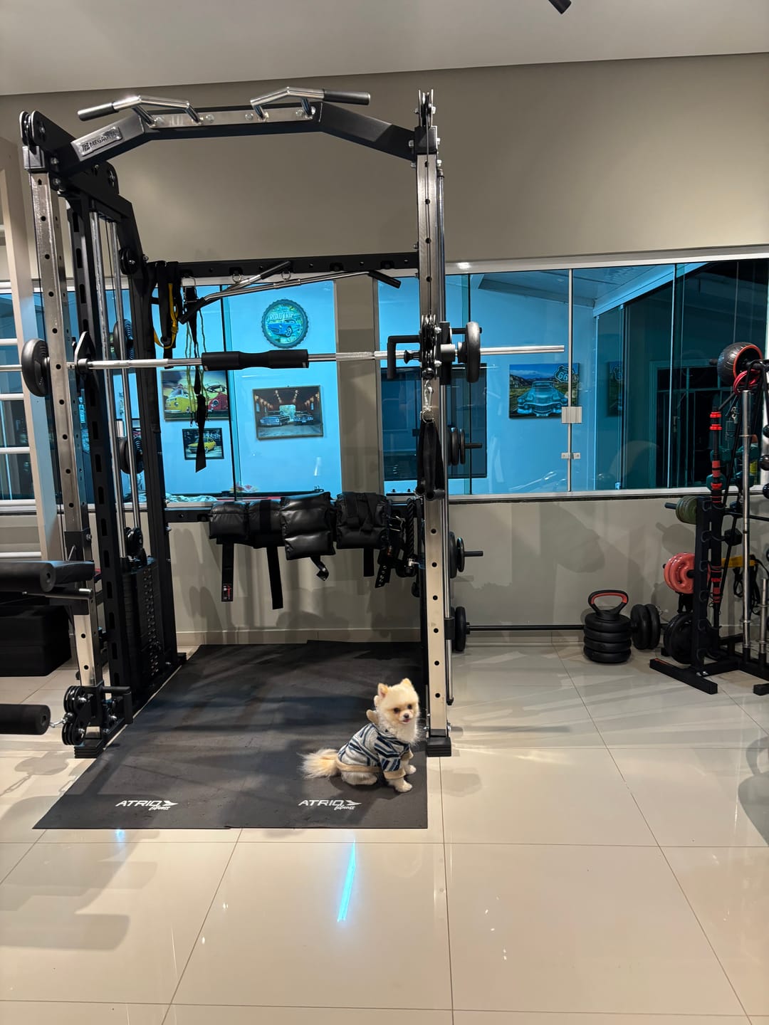 Customer photo review of Multi Crossover Smith Com Rack Integrado + Barra Guiada