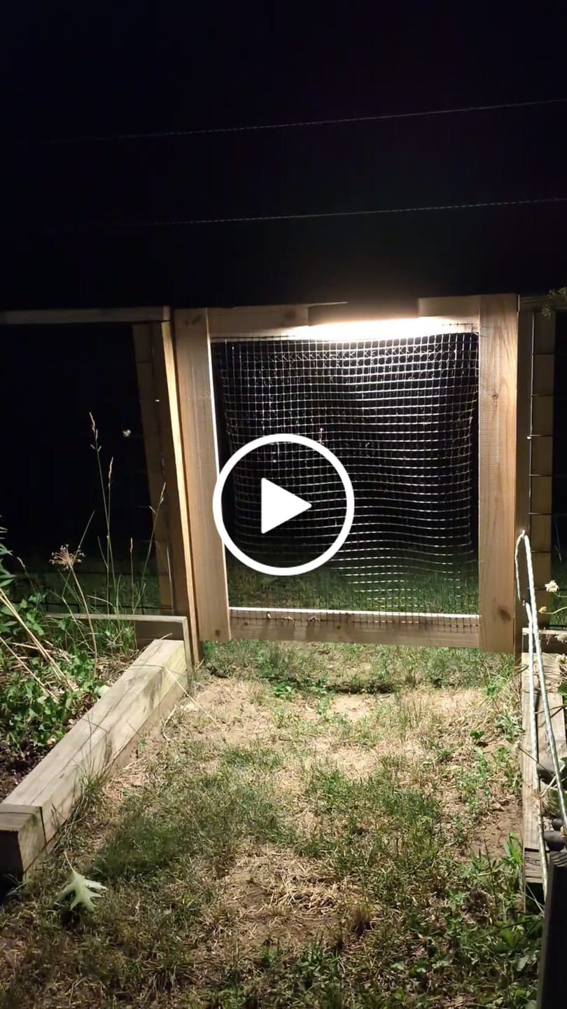 Customer video review of Solar Wall Light with Motion Sensor