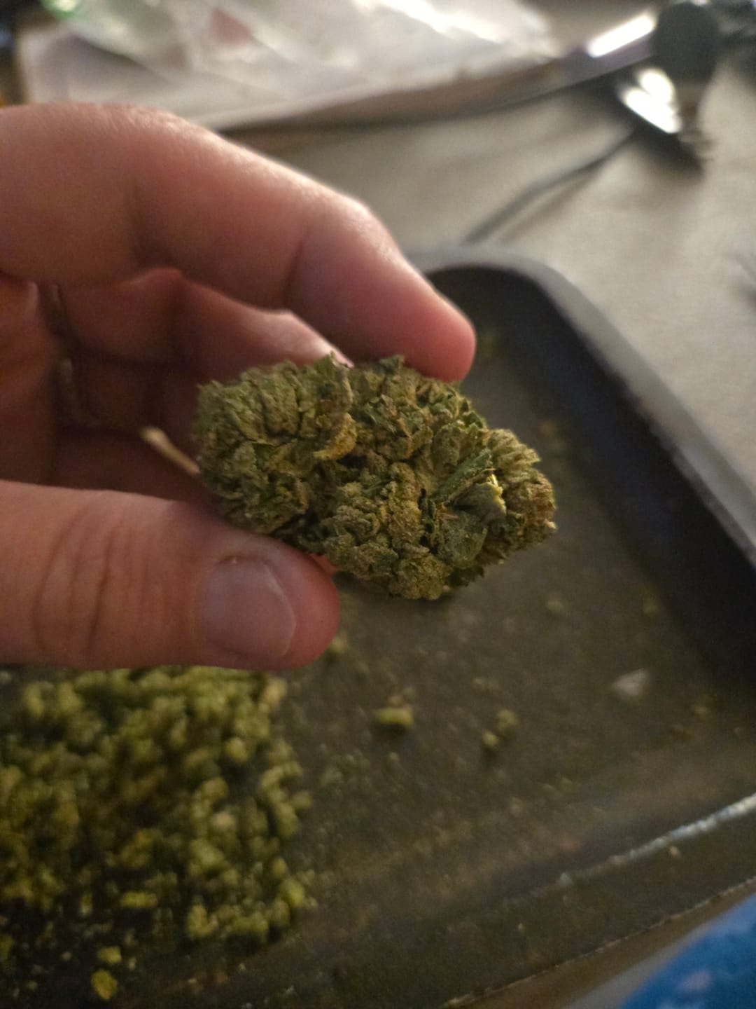 Customer photo review of OG Lato - Bulk - Hybrid