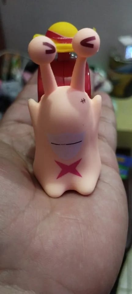 Customer photo review of Mushi Voice Grabadora