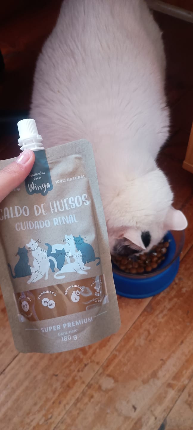 Customer photo review of Caldo de Huesos Renal Gatos
