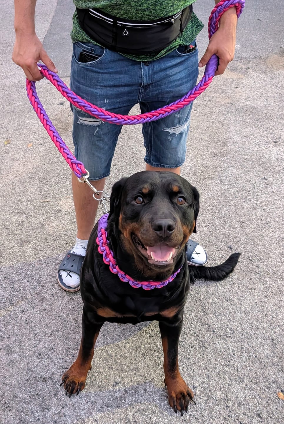 Customer photo review of Paracord Rope Lead Set - Two tone colour
