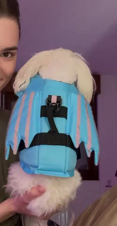 Customer photo review of Splash Paws™ Chin Float Life Jacket