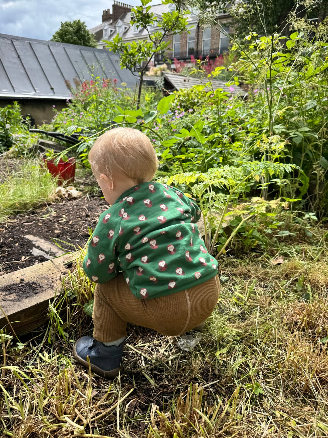 Customer photo review of Brown Owl Raglan Sweatshirt