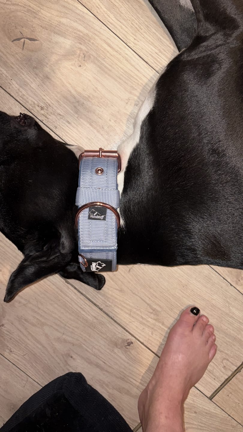 Customer photo review of Active Komfort Rose Edition Pastel Blue - Brett slitstarkt halsband med spänne