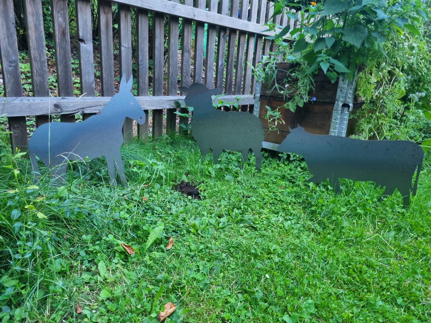 Customer photo review of Gartenstecker Schaf