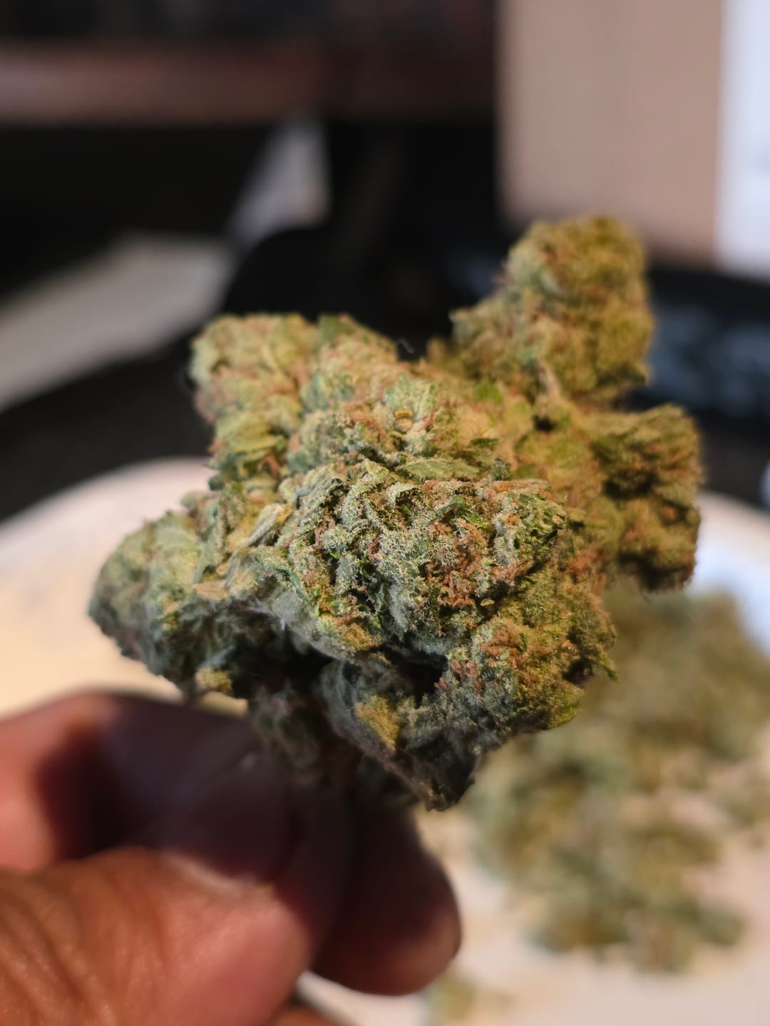 Customer photo review of Laughing Gas - Bulk - Hybrid