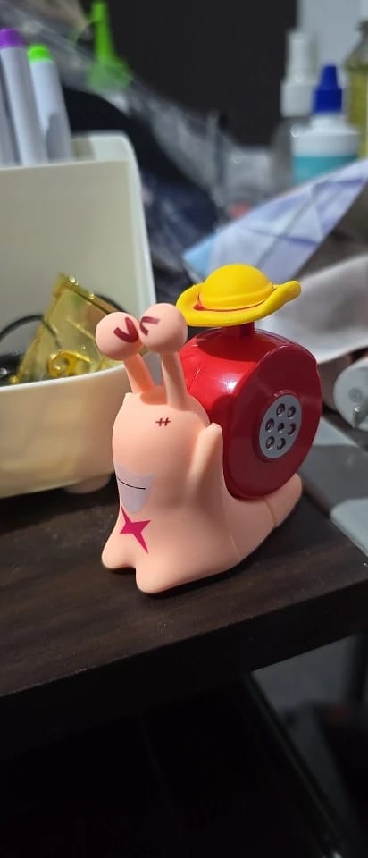 Customer photo review of Mushi Voice Grabadora