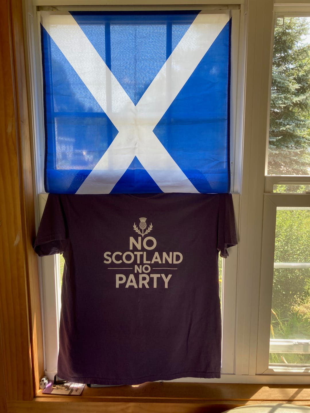 Customer photo review of Scotland No Party Bold T-Shirt