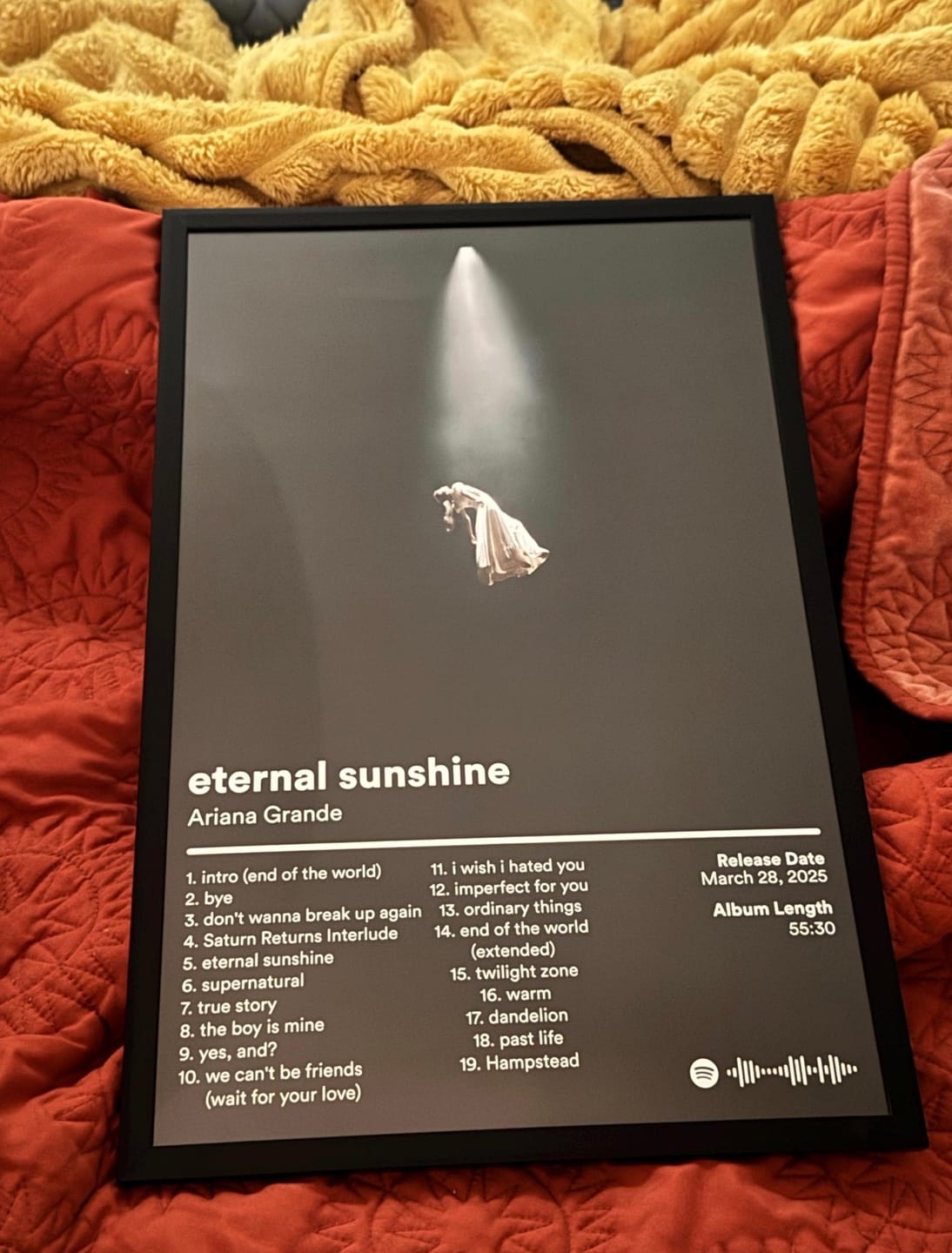 Customer photo review of Ariana Grande Album Posters