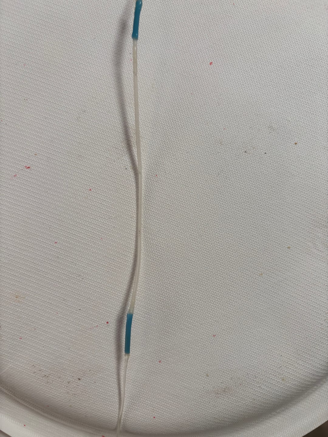 Customer photo review of Airflo Trout Polyleader - 10 Foot