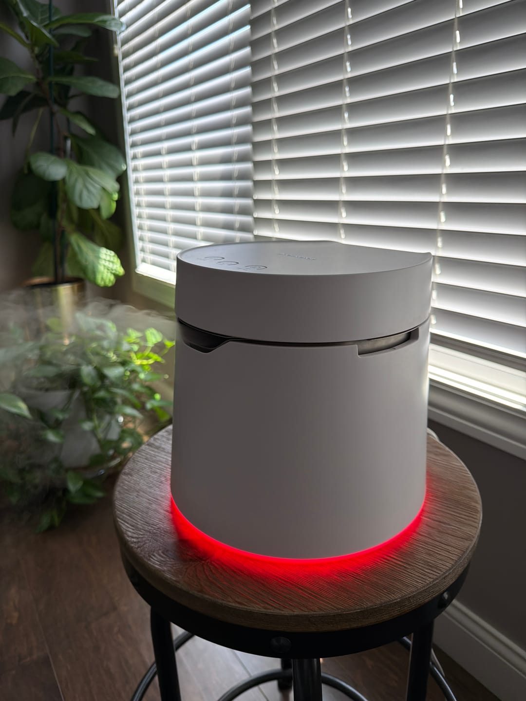 Customer photo review of Carepod One Plus - Stainless Steel Humidifier with Mood Light