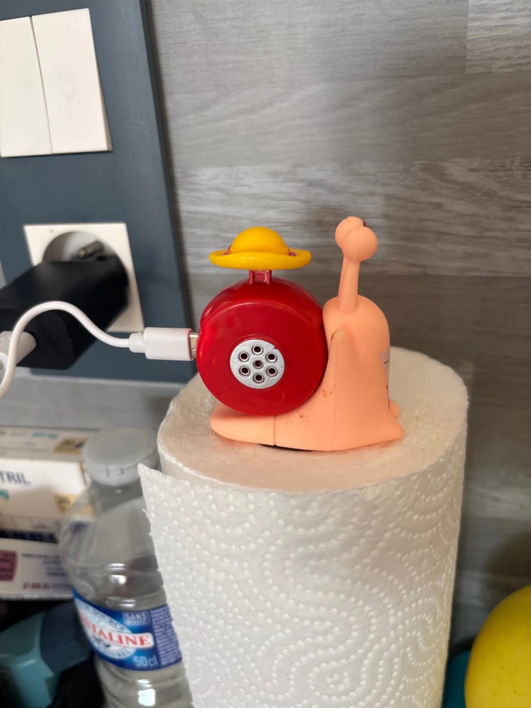 Customer photo review of Mushi Voice Grabadora