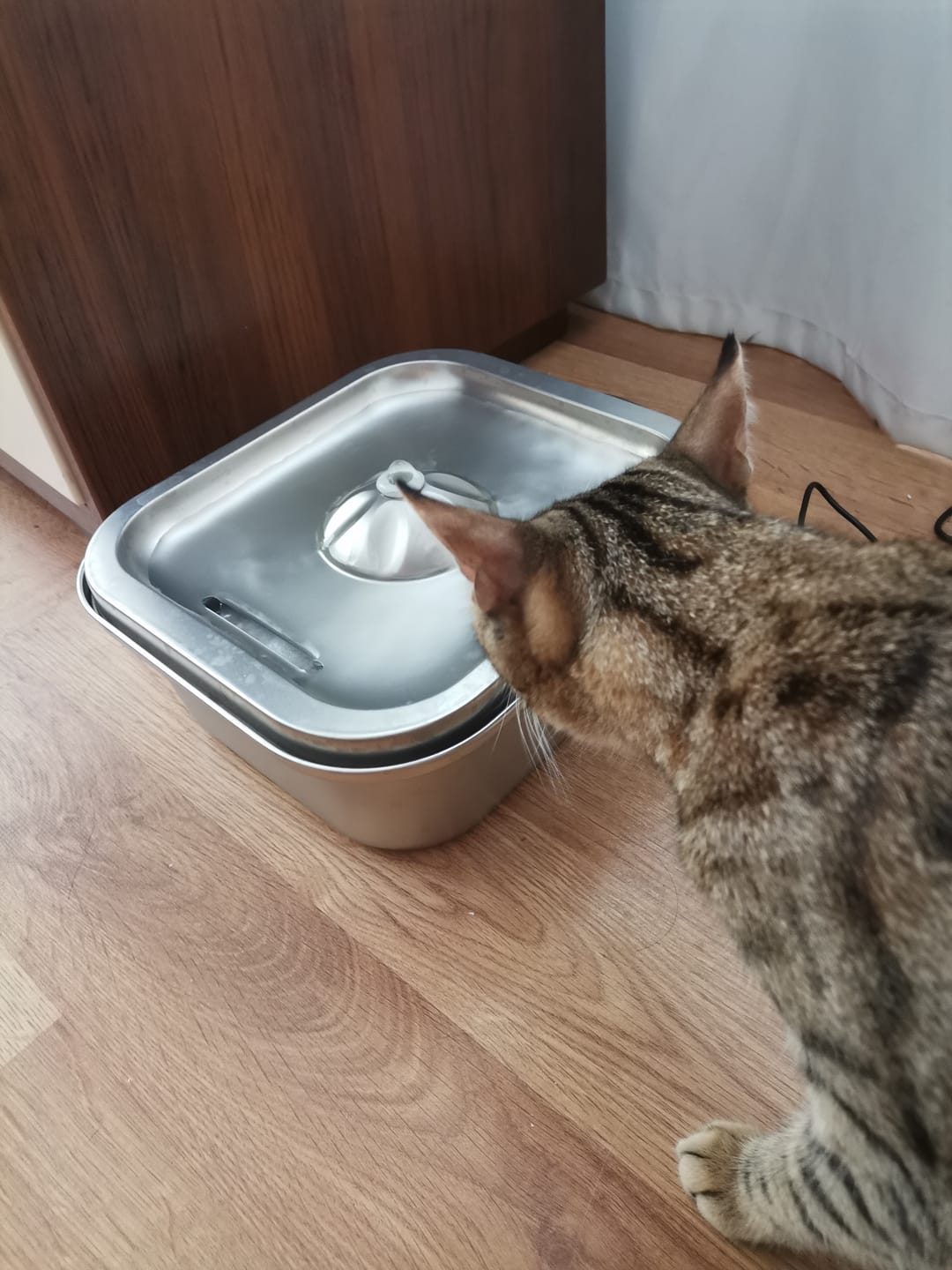 Customer photo review of Kedi Su Pınarı | Çelik, Akıllı, 3L, Ultra Sessiz, Mobil Kontrol Destekli, Kedi Çeşmesi (X8651)